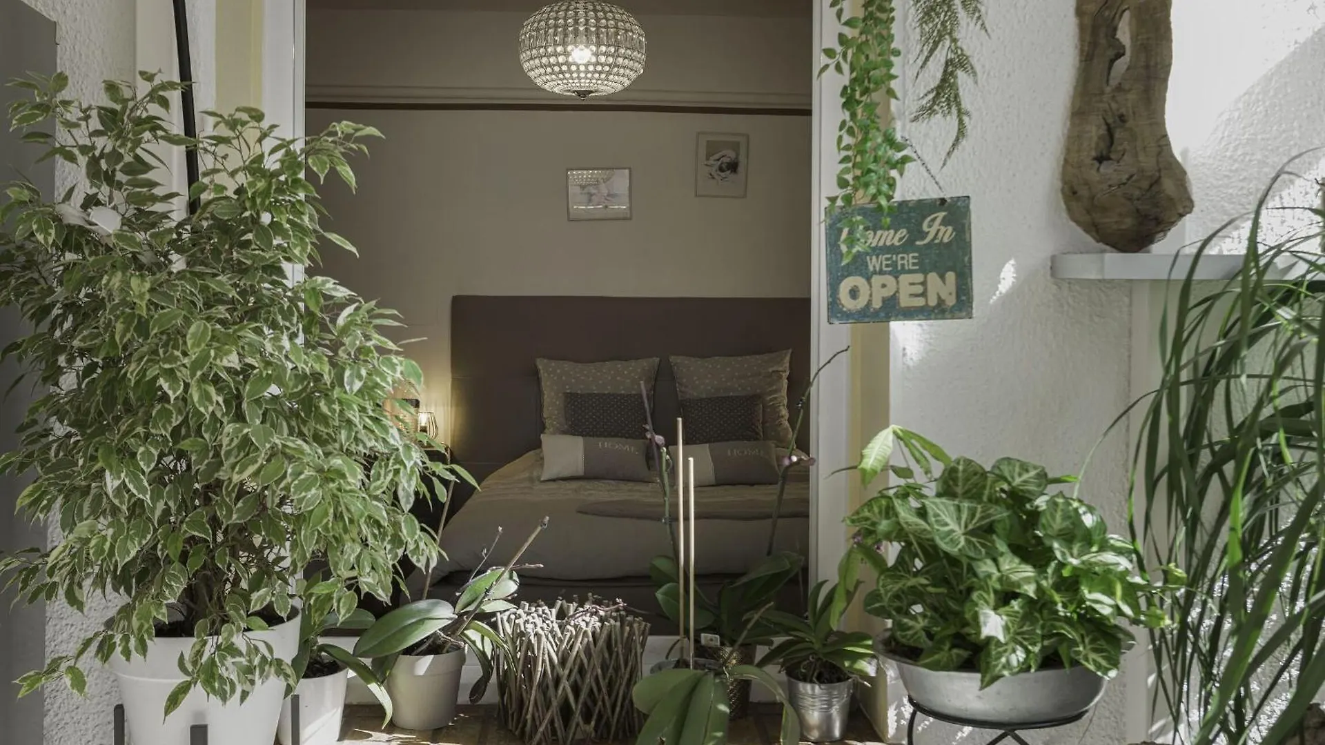 La Maison Fleurie By Halldis Cannes France